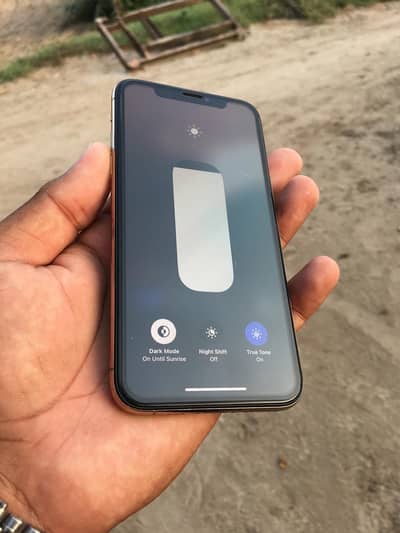 Apple iPhone XS