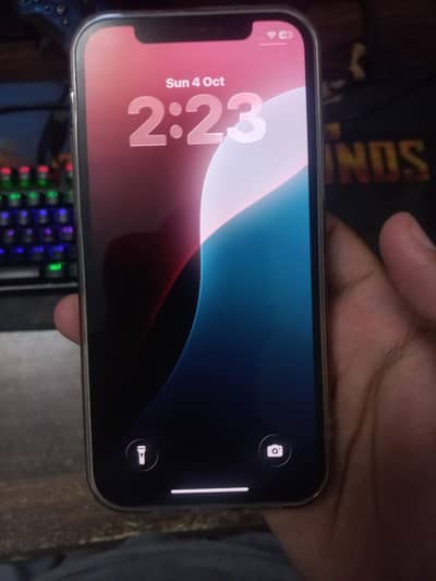 Apple iPhone 12