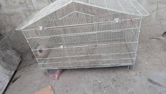 birds cage