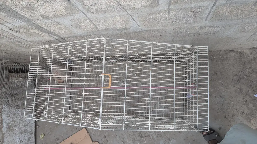 birds cage — photo 2