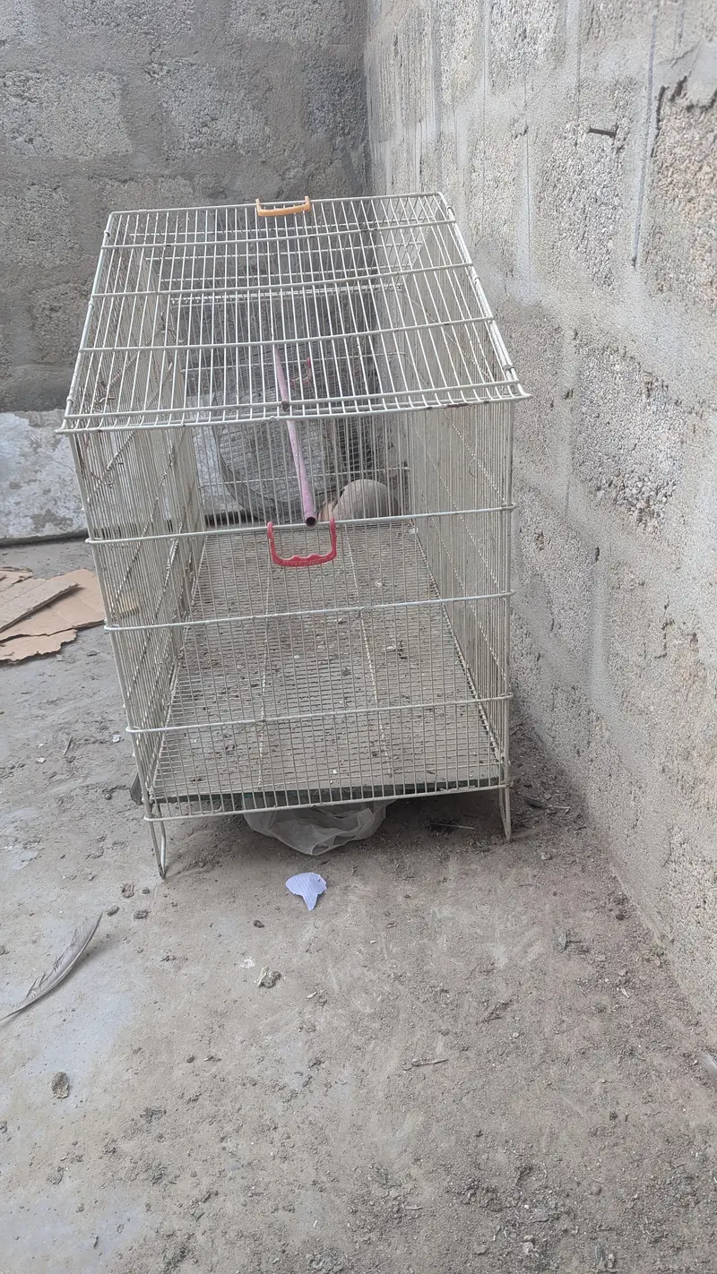 birds cage — photo 3