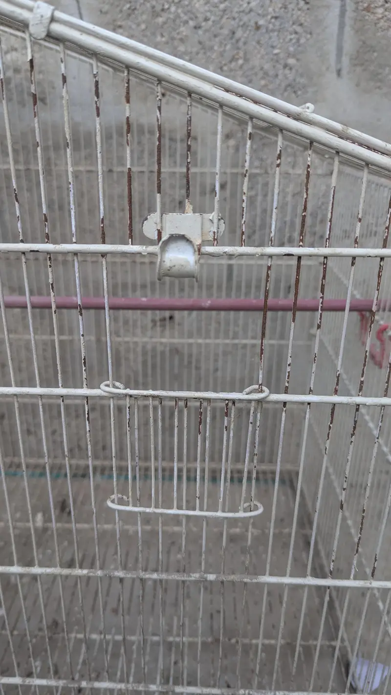 birds cage — photo 4