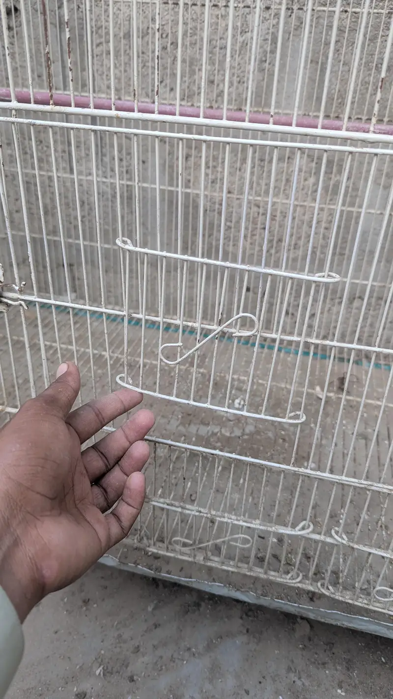 birds cage — photo 5