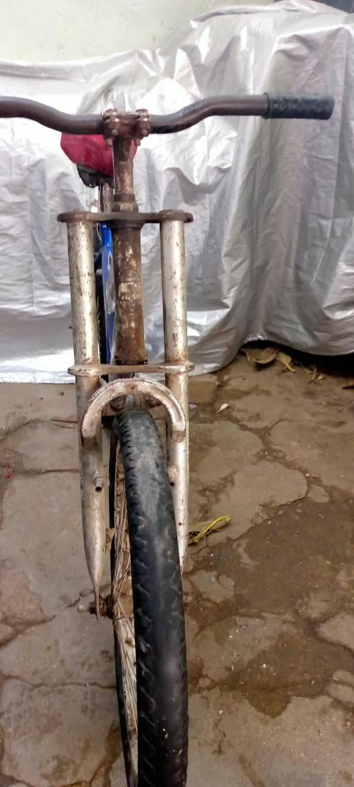 cycle 4