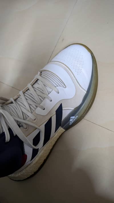 Original Adidas Marquee Boost "Top Ten 40th Anniversary"