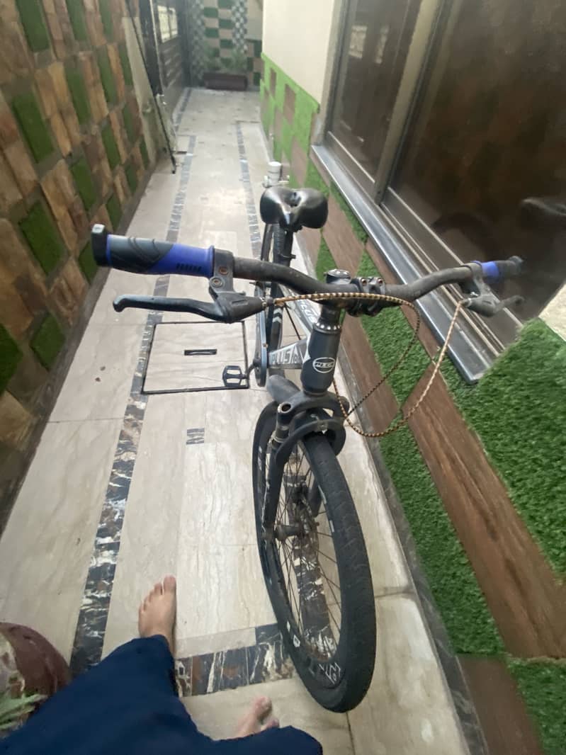 Plus Cycle 10