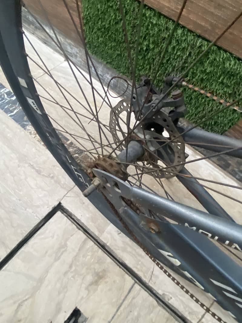 Plus Cycle 12