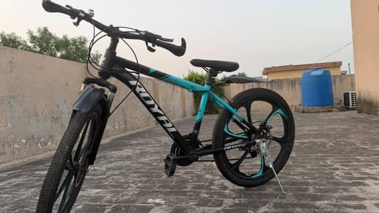 royal mountain bike