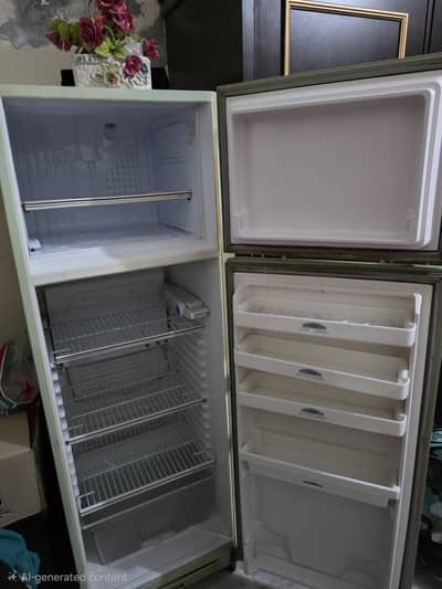 Dawlence Fridge Old Is Gold