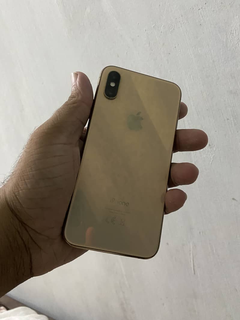 Apple iPhone XS 0
