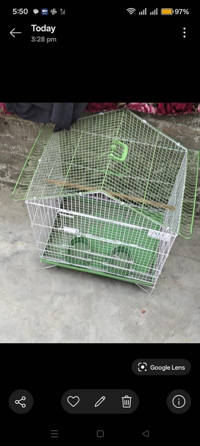 birds cage animal