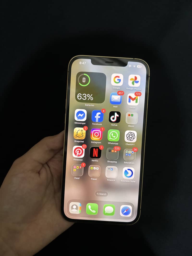 Apple iPhone 12 Pro Max 5