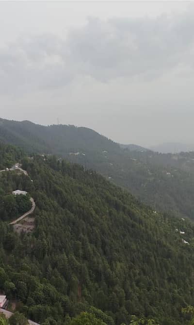 30 Kanal Land for Sale Nathia Gali