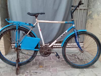 Used Road Bicycle for Sale -- With Rear Carrier & Mudguards