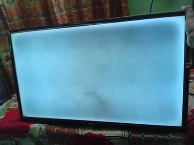 Panel issuse