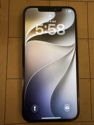 Apple iPhone 12 Pro Max