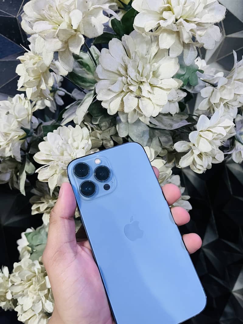 Apple iPhone 13 Pro Max 0