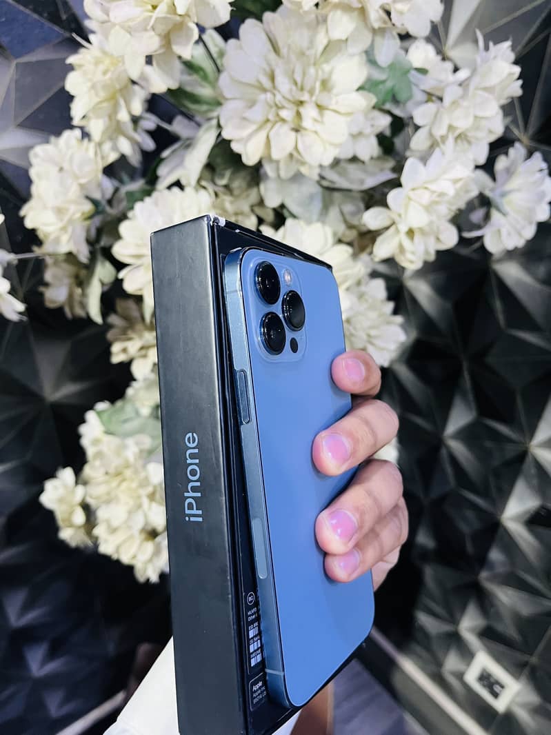 Apple iPhone 13 Pro Max 1