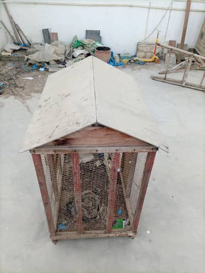 Birds cage