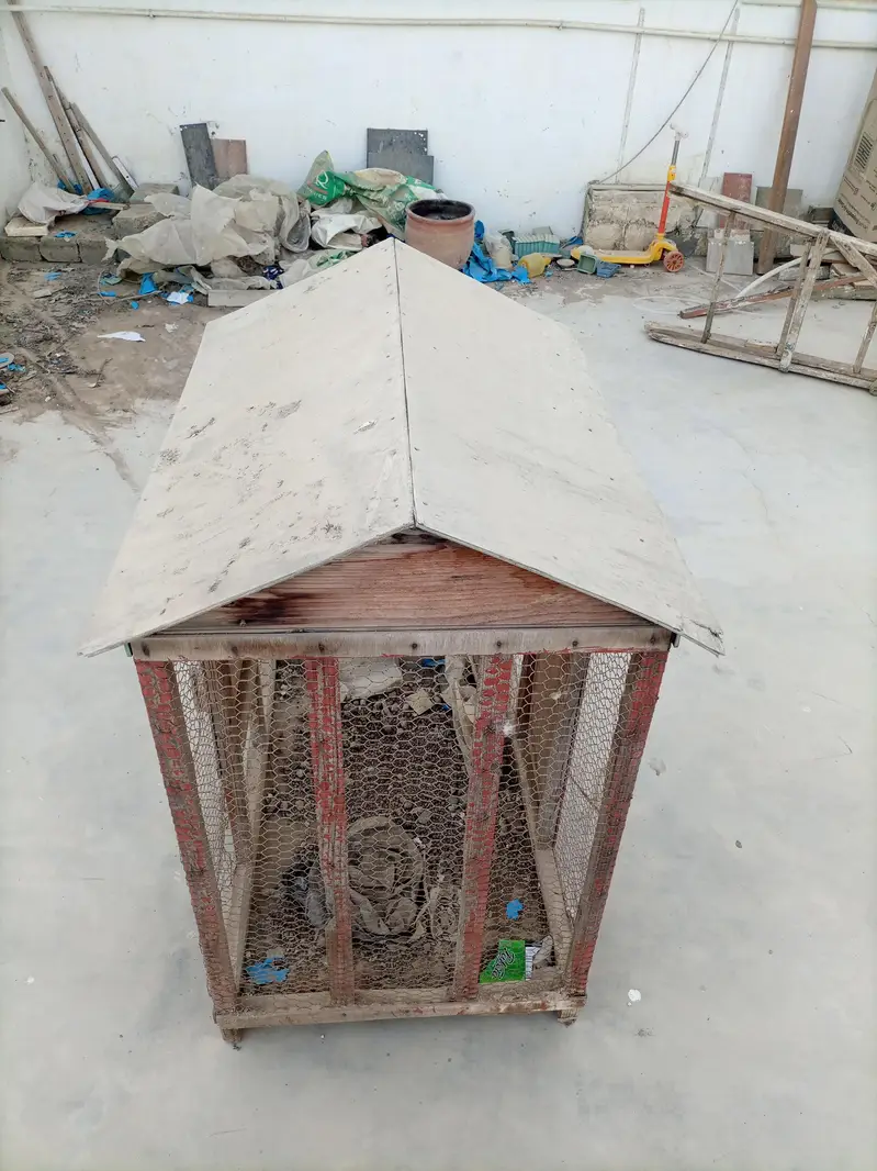 Birds cage