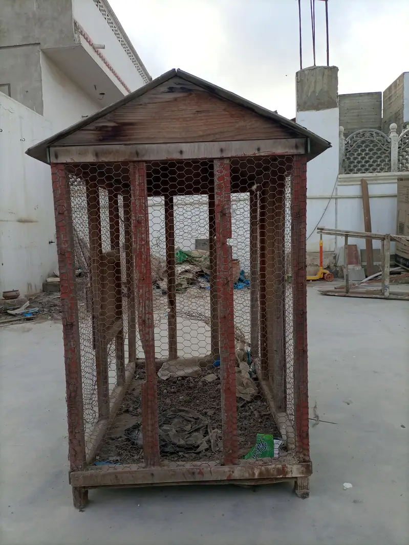 Birds cage — photo 4