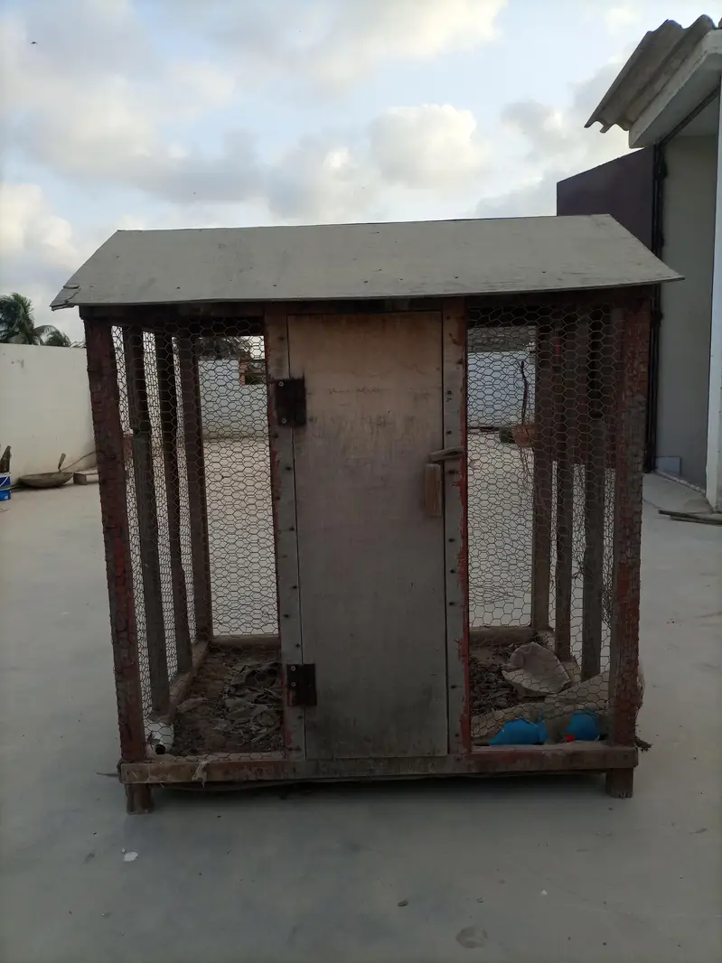 Birds cage — photo 5