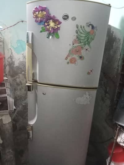 pel fridge for sale