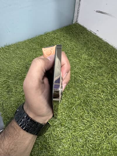 Apple iPhone 12 Pro Max