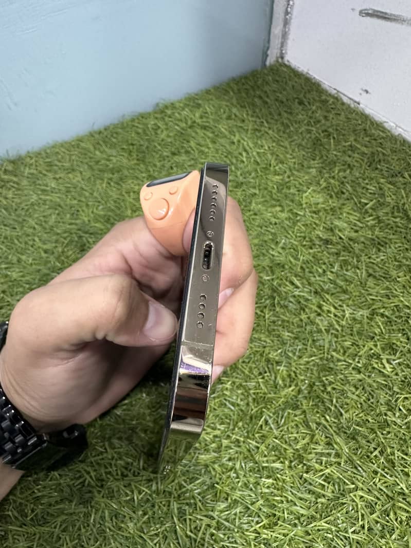 Apple iPhone 12 Pro Max 1