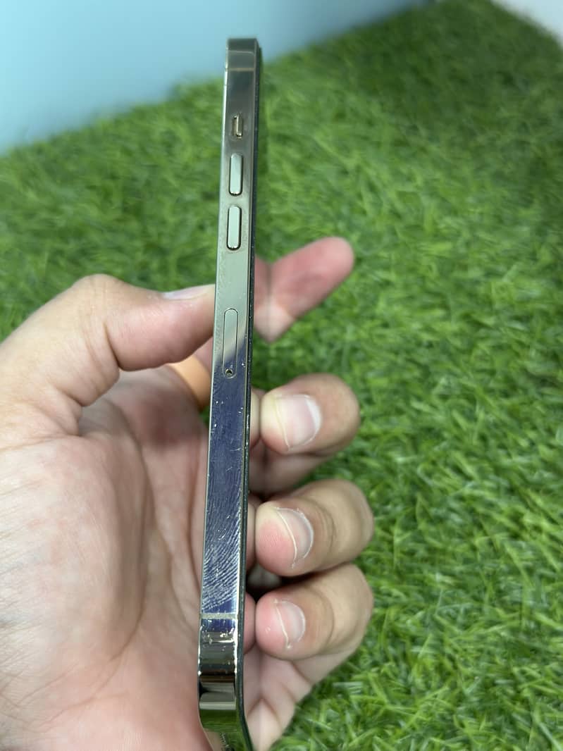 Apple iPhone 12 Pro Max 2
