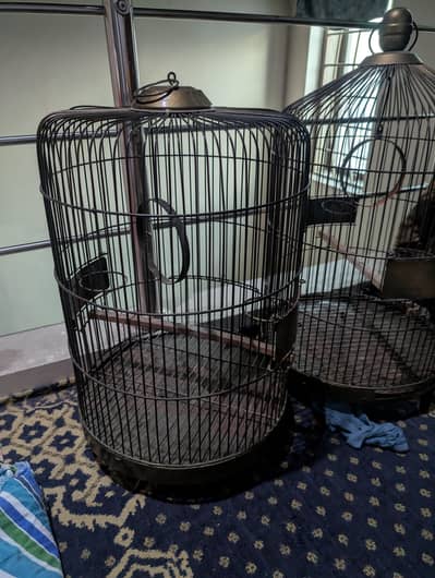 bird cages
