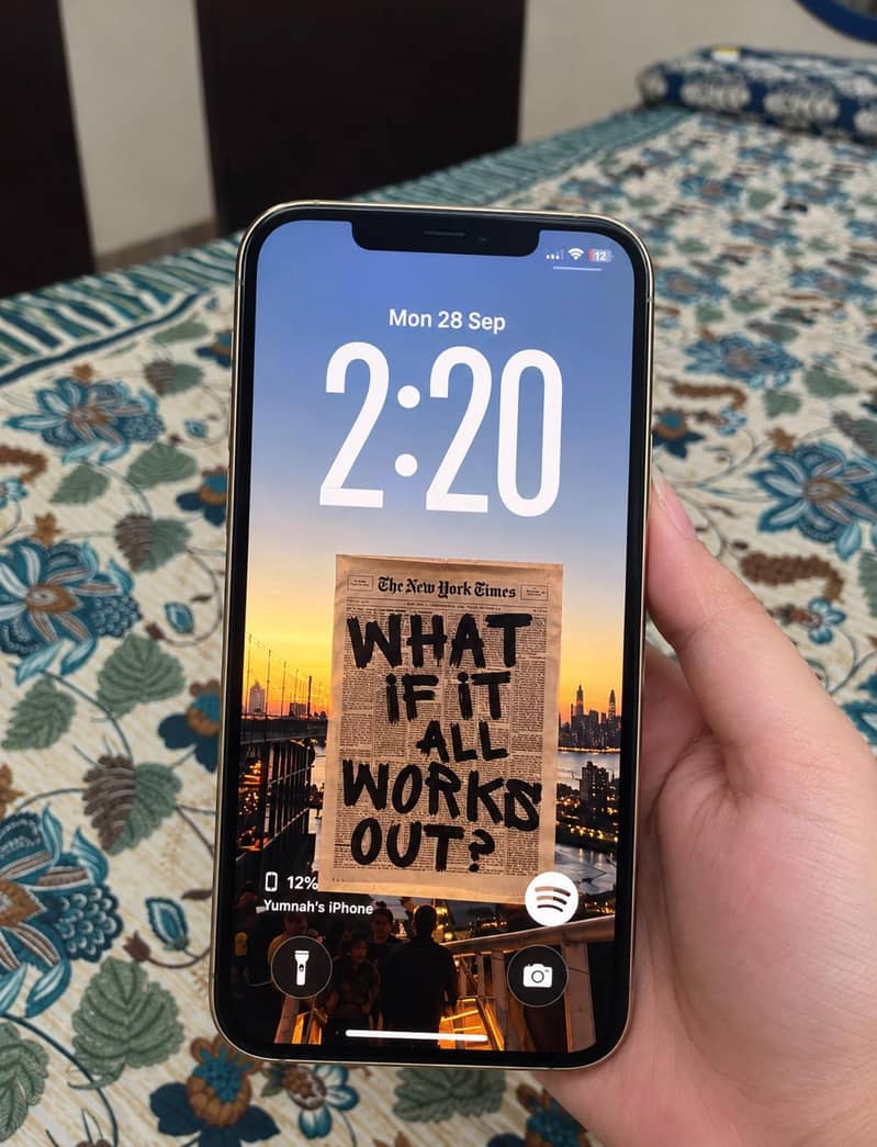 Apple iPhone 12 Pro Max 1