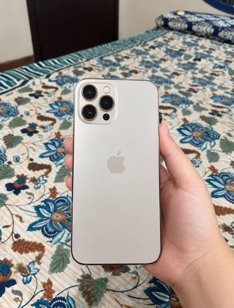 Apple iPhone 12 Pro Max 0