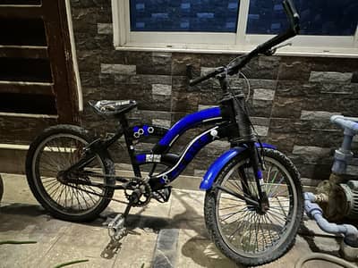 Cycle 13 inch