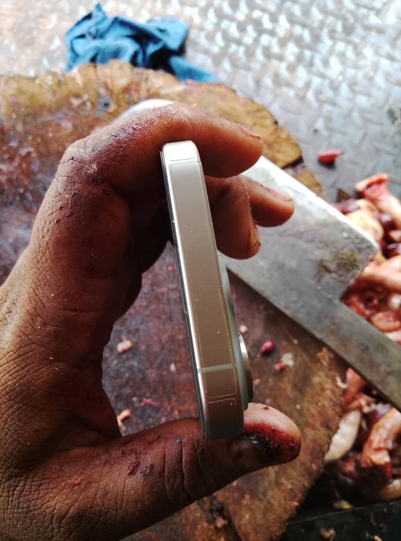 Apple iPhone 15 Pro 2