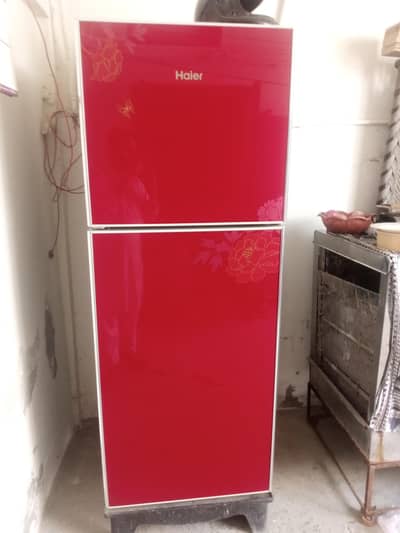 hier fridge fresh condition