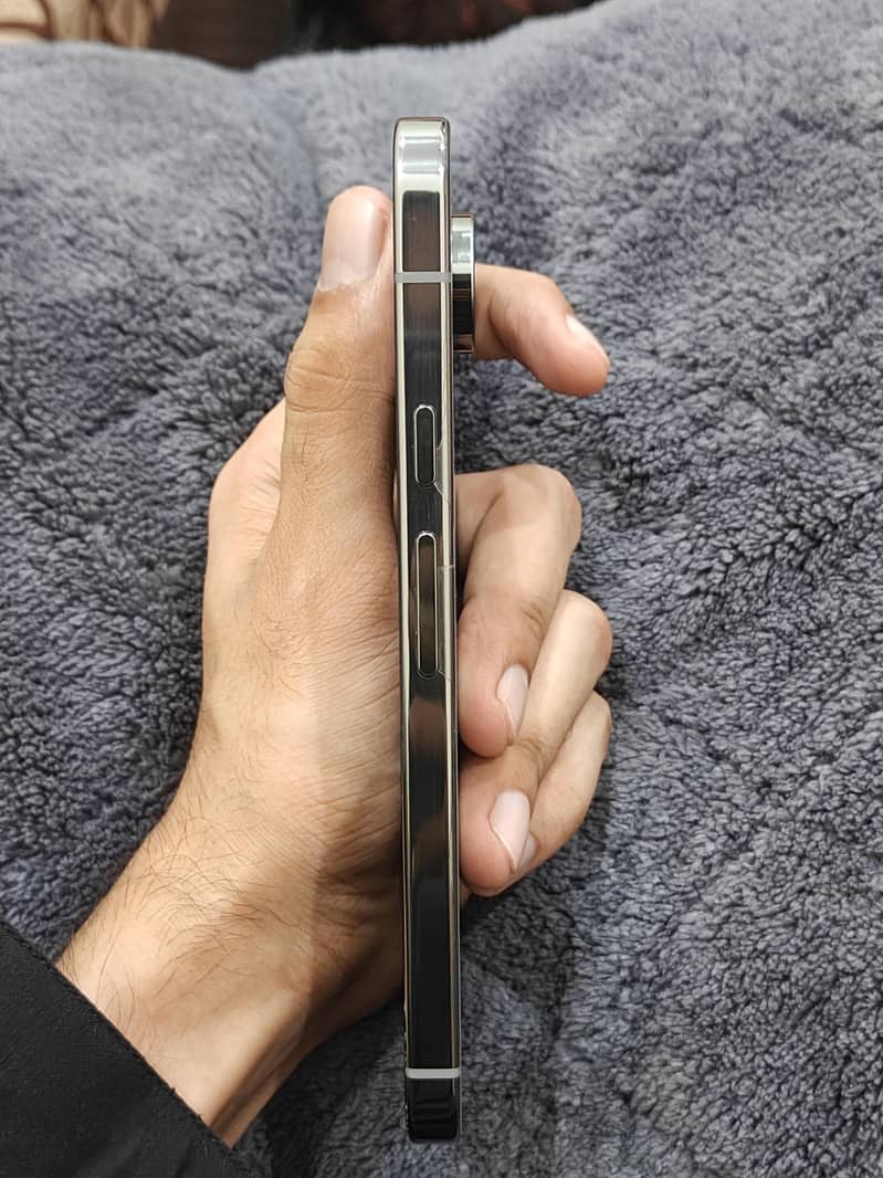 Google Pixel 9 Pro XL 1