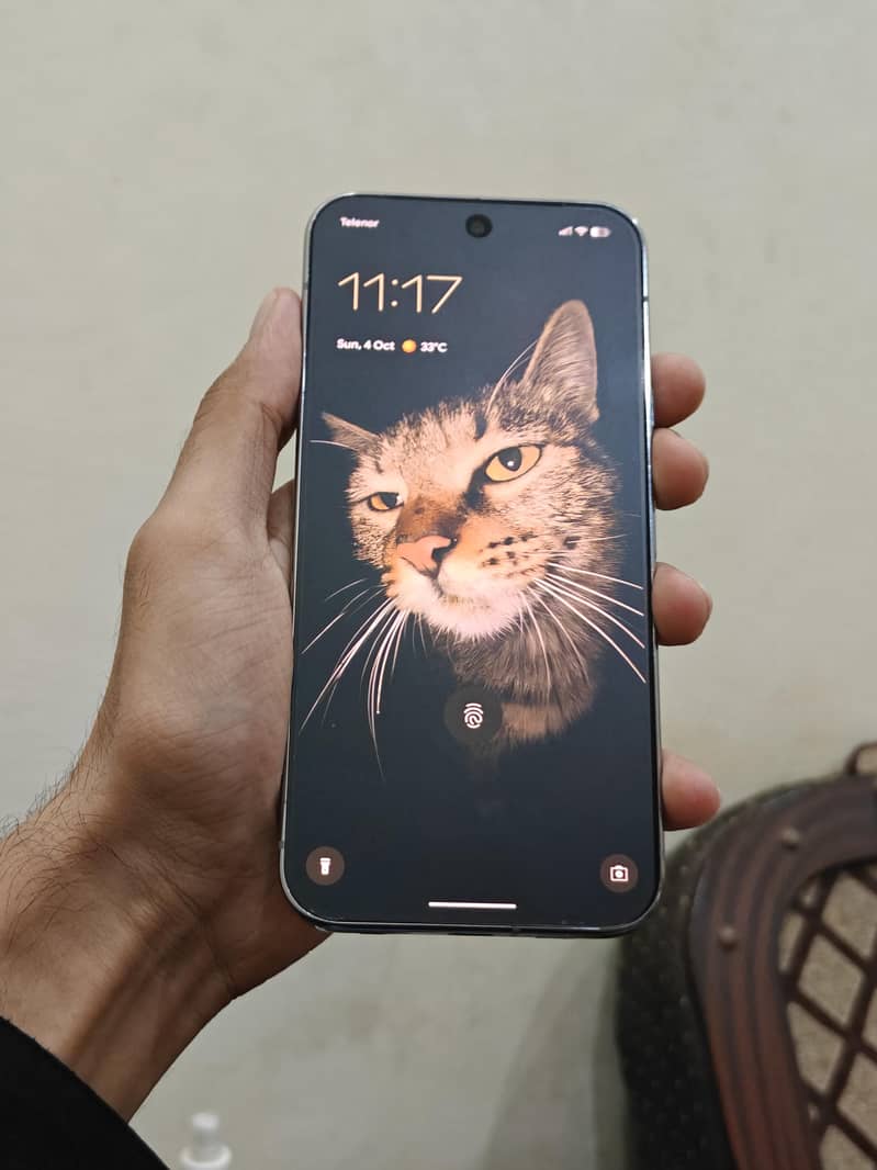 Google Pixel 9 Pro XL 6