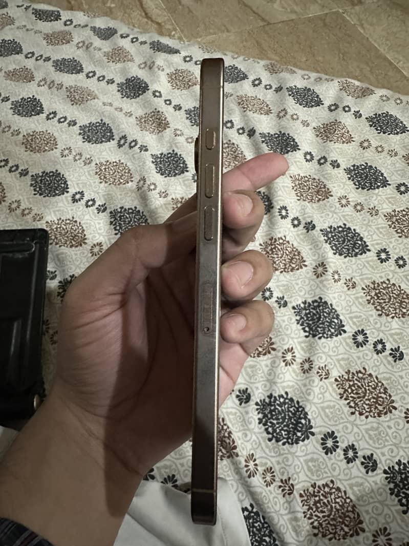 Apple iPhone 16 Pro Max 1