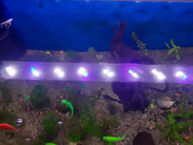 Planted aquarium for sale with imported things — photo 3