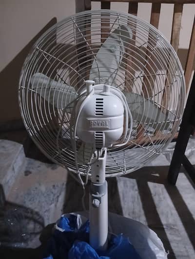 Royal Brand new Pedestal Fan