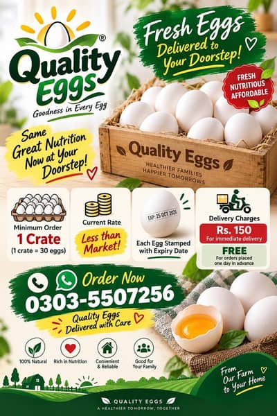 Fresh Eggs Home Delivery – Tazah Anday, Seedha Aapke Ghar!
