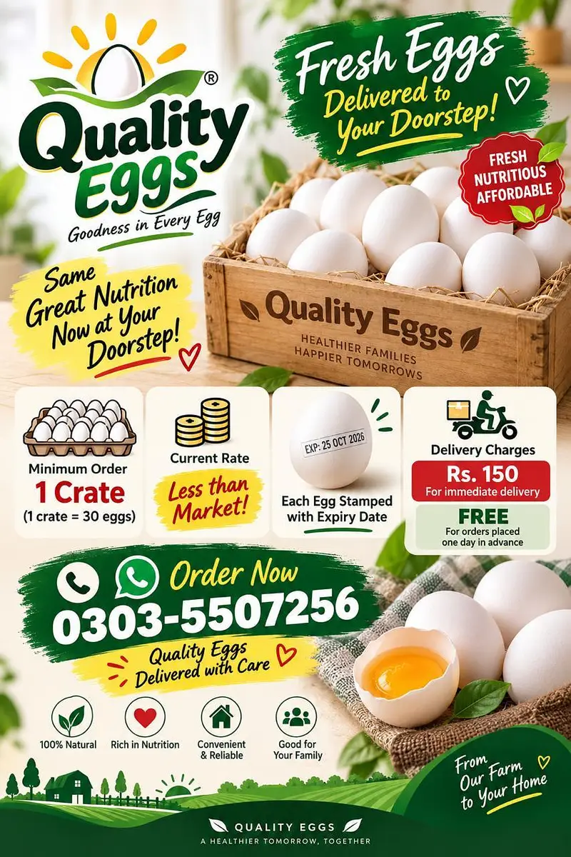 White Eggs Wholesale | Fresh Chicken Eggs | Home Delivery