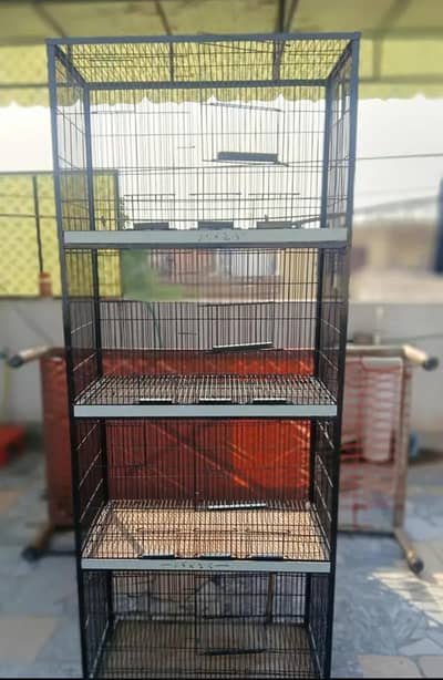 Birds cage