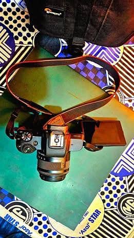 Canon m50 camera