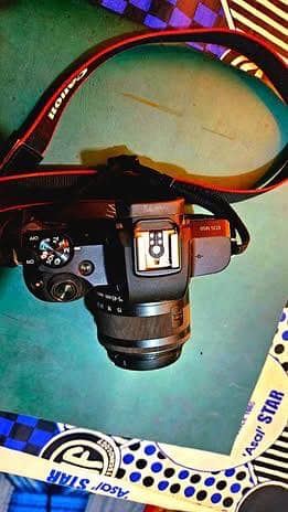 Canon m50 camera 5