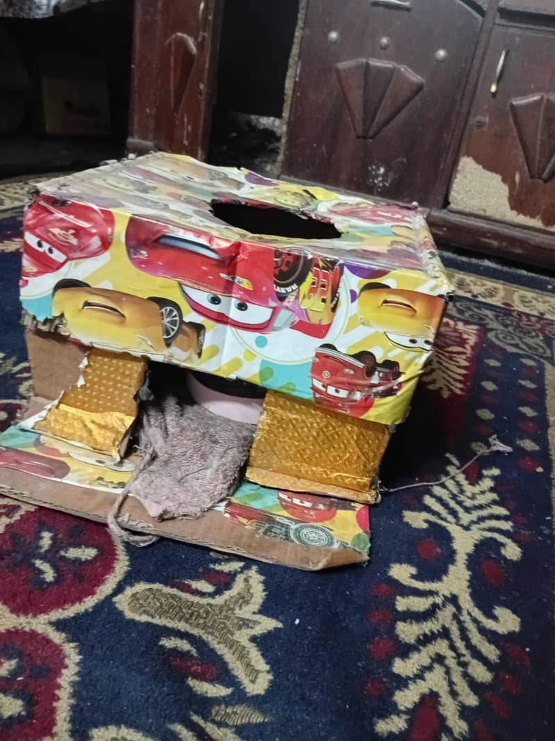 cat house 0