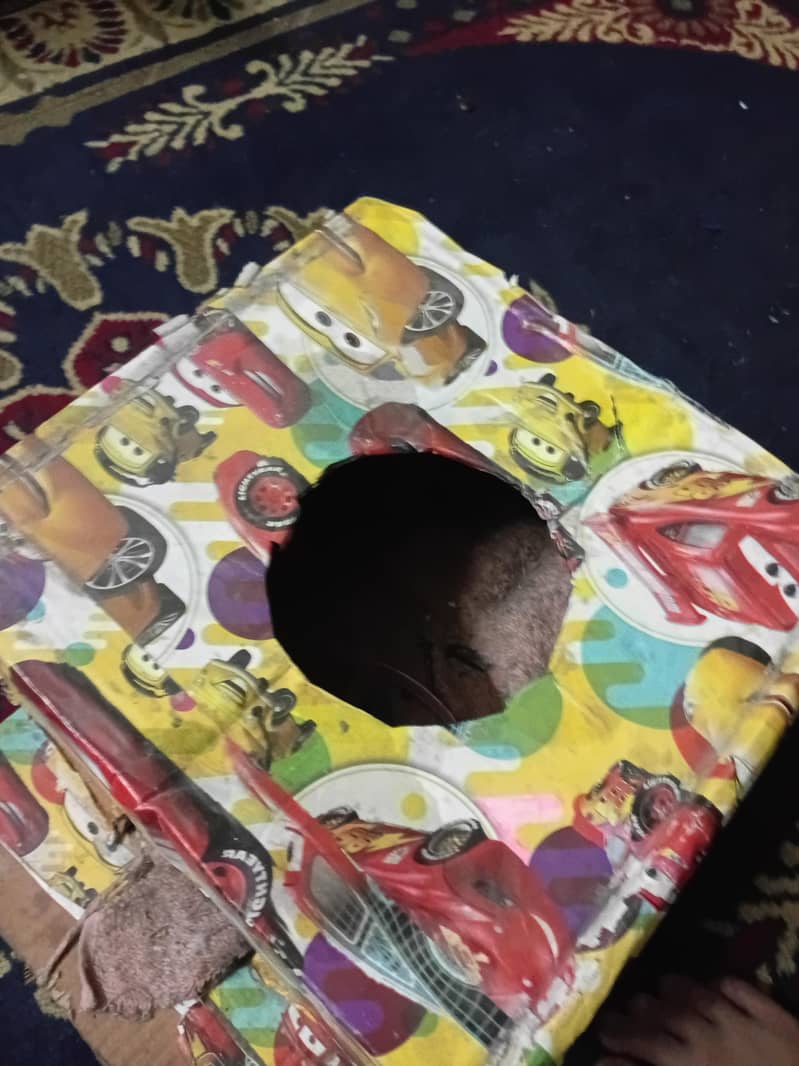 cat house 1