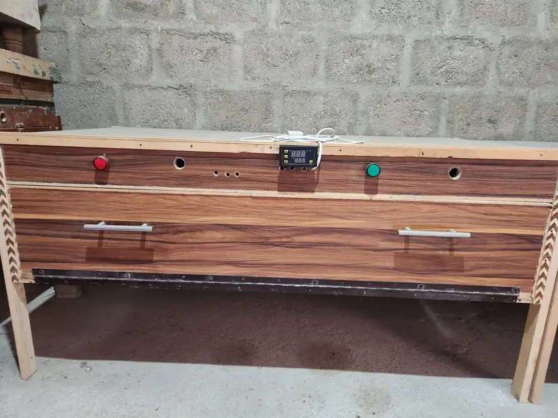 Egg Incubator Machine for Sale | Automatic Temperature Controller — photo 3