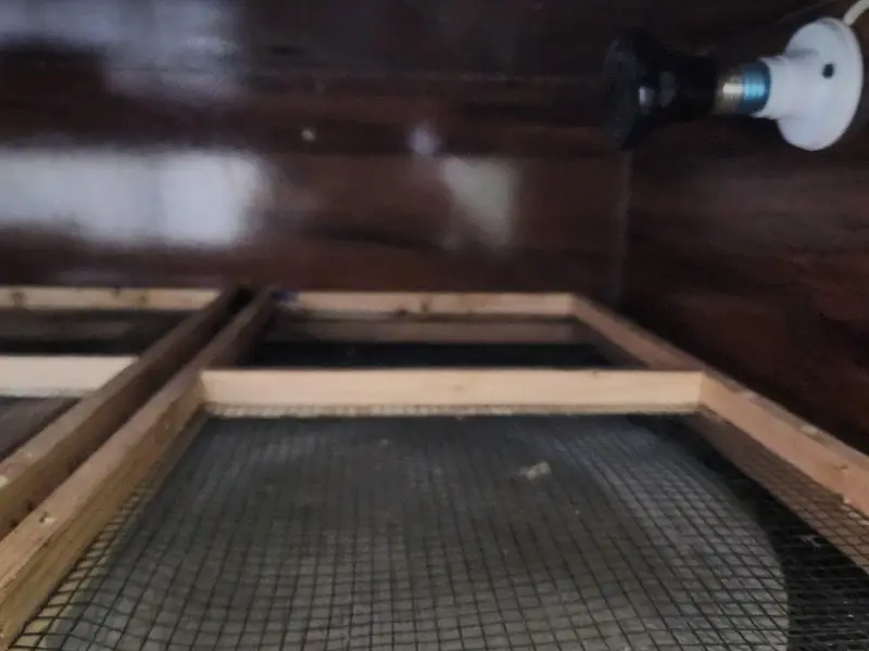 Egg Incubator Machine for Sale | Automatic Temperature Controller — photo 4